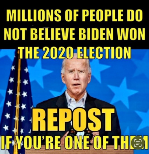Biden did not win the 2020 election Blank Meme Template