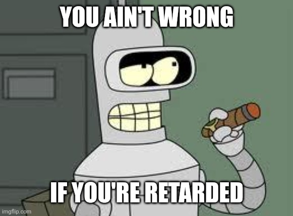 Bender | YOU AIN'T WRONG IF YOU'RE RETARDED | image tagged in bender | made w/ Imgflip meme maker