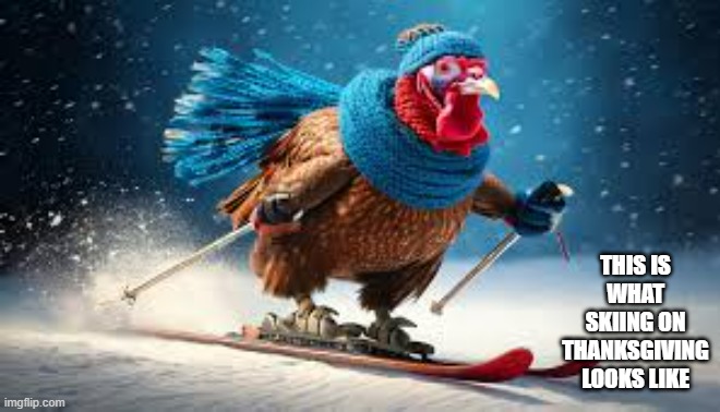 memes by Brad - Here's a turkey snow skiing on Thanksgiving Day | THIS IS WHAT SKIING ON THANKSGIVING LOOKS LIKE | image tagged in funny,sports,skiing,thanksgiving day,thanksgiving,turkey | made w/ Imgflip meme maker