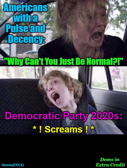 DIEC | Americans 

with a 

Pulse and 

Decency:; "Why Can't You Just Be Normal?!"; Democratic Party 2020s:; * ! Screams ! *; Dems in 

Extra Credit; OzwinEVCG | image tagged in why can't you just be normal blank no wm,woke,antiwhite,liberals,clown world,weimerica | made w/ Imgflip meme maker