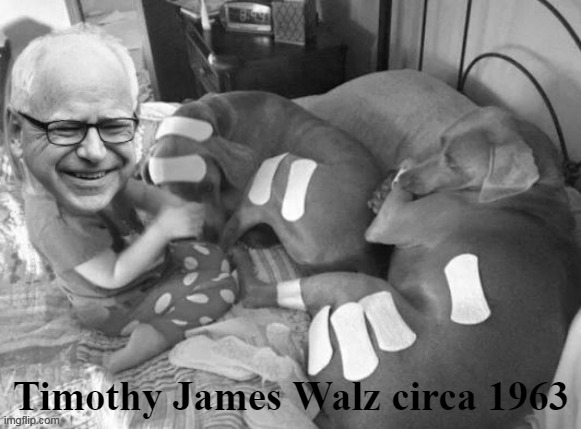 Guess it was a life long obsession | Timothy James Walz circa 1963 | image tagged in walz dogs kotex meme | made w/ Imgflip meme maker