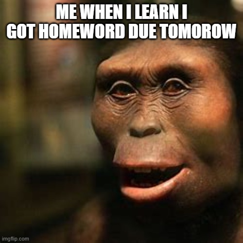 Me when homework | ME WHEN I LEARN I GOT HOMEWORD DUE TOMOROW | image tagged in homework | made w/ Imgflip meme maker