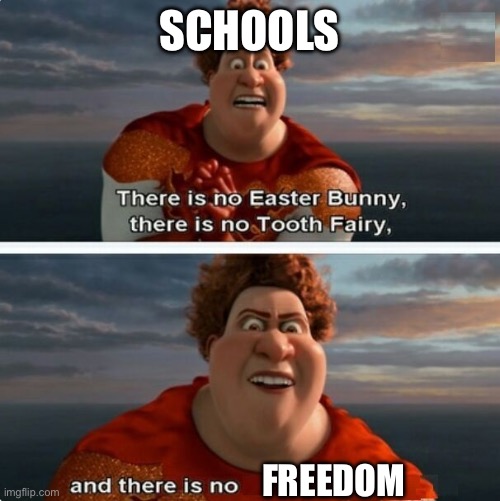 Only Students Understand | SCHOOLS; FREEDOM | image tagged in tighten megamind there is no easter bunny | made w/ Imgflip meme maker