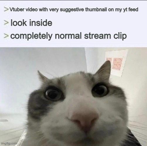 why do they do this i don't want this shit on my screen randomly | Vtuber video with very suggestive thumbnail on my yt feed; look inside; completely normal stream clip | image tagged in cat looks inside | made w/ Imgflip meme maker