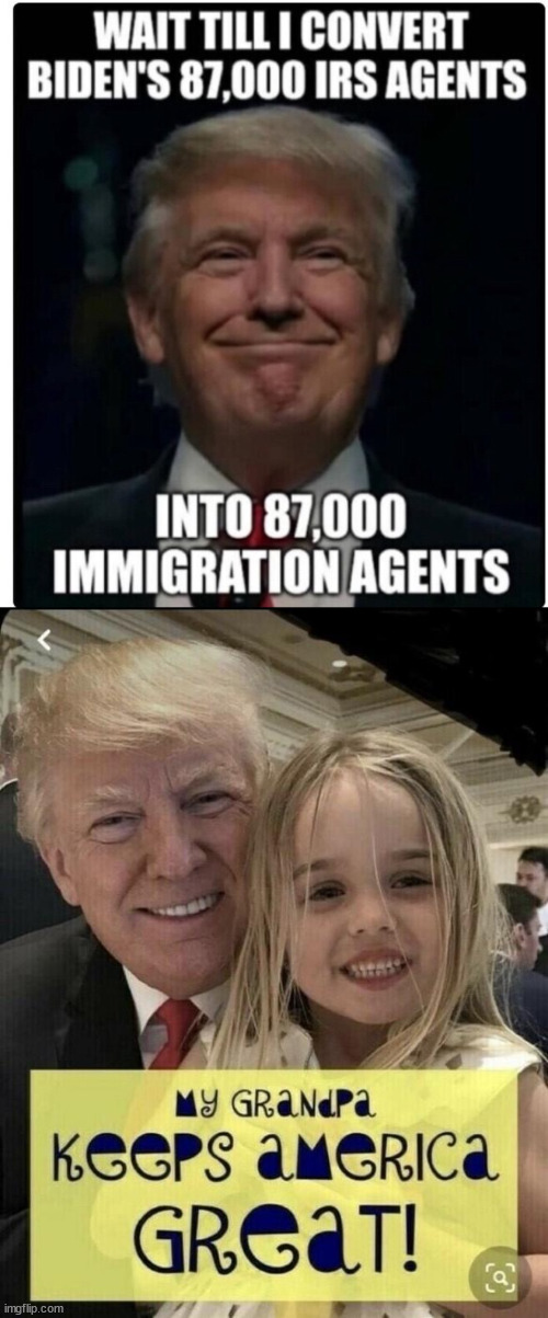 Keeping America great | image tagged in trump,fixing illegal immigration | made w/ Imgflip meme maker