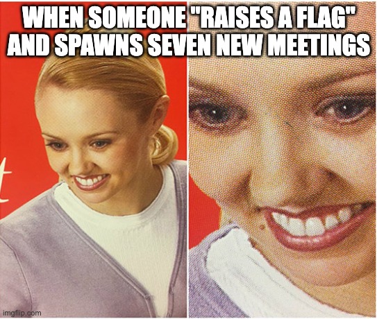 The What (Blank) | WHEN SOMEONE "RAISES A FLAG" AND SPAWNS SEVEN NEW MEETINGS | image tagged in the what blank | made w/ Imgflip meme maker