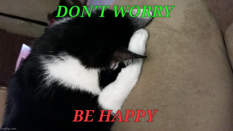 Don't worry | DON'T WORRY; BE HAPPY | image tagged in i give up cat,funny memes | made w/ Imgflip meme maker