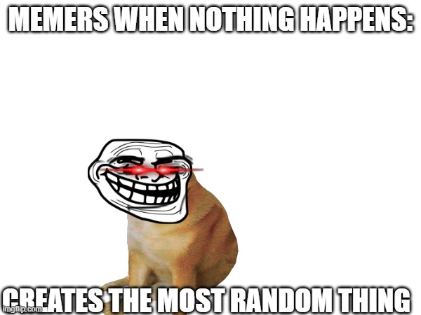 Random memers | MEMERS WHEN NOTHING HAPPENS:; CREATES THE MOST RANDOM THING | image tagged in random,wtf | made w/ Imgflip meme maker