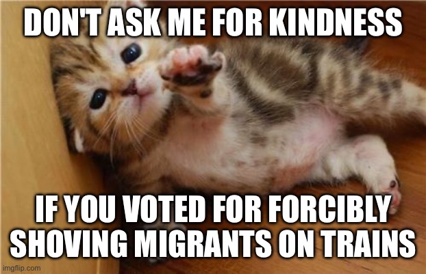 Nazis don't deserve kindness | DON'T ASK ME FOR KINDNESS; IF YOU VOTED FOR FORCIBLY SHOVING MIGRANTS ON TRAINS | image tagged in help me kitten | made w/ Imgflip meme maker