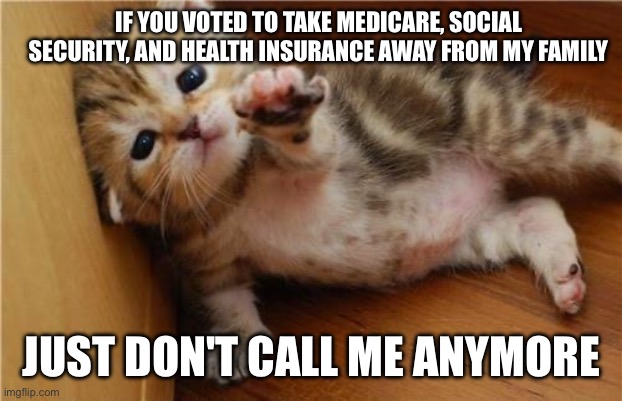 You wanted to hurt my granny kitten | IF YOU VOTED TO TAKE MEDICARE, SOCIAL SECURITY, AND HEALTH INSURANCE AWAY FROM MY FAMILY; JUST DON'T CALL ME ANYMORE | image tagged in help me kitten | made w/ Imgflip meme maker