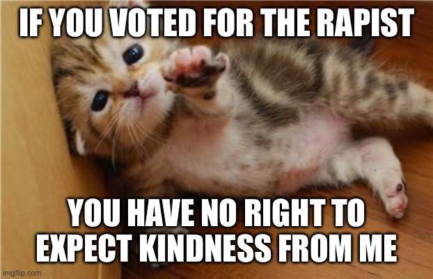 MAGA men repulse women and kittens | IF YOU VOTED FOR THE RAPIST; YOU HAVE NO RIGHT TO EXPECT KINDNESS FROM ME | image tagged in help me kitten | made w/ Imgflip meme maker