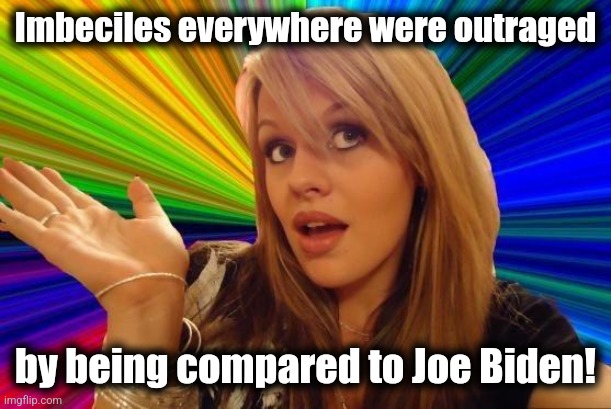 Dumb Blonde Meme | Imbeciles everywhere were outraged by being compared to Joe Biden! | image tagged in memes,dumb blonde | made w/ Imgflip meme maker