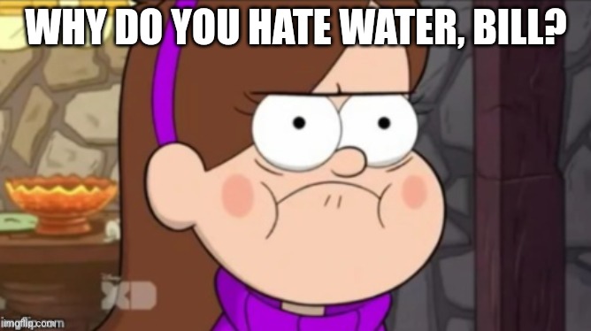 Angry Mabel | WHY DO YOU HATE WATER, BILL? | image tagged in angry mabel | made w/ Imgflip meme maker