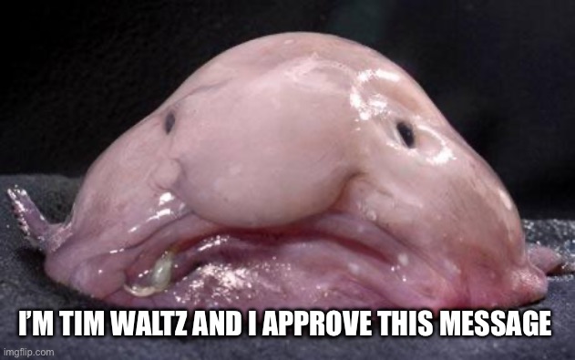 Blobfish | I’M TIM WALTZ AND I APPROVE THIS MESSAGE | image tagged in blobfish | made w/ Imgflip meme maker