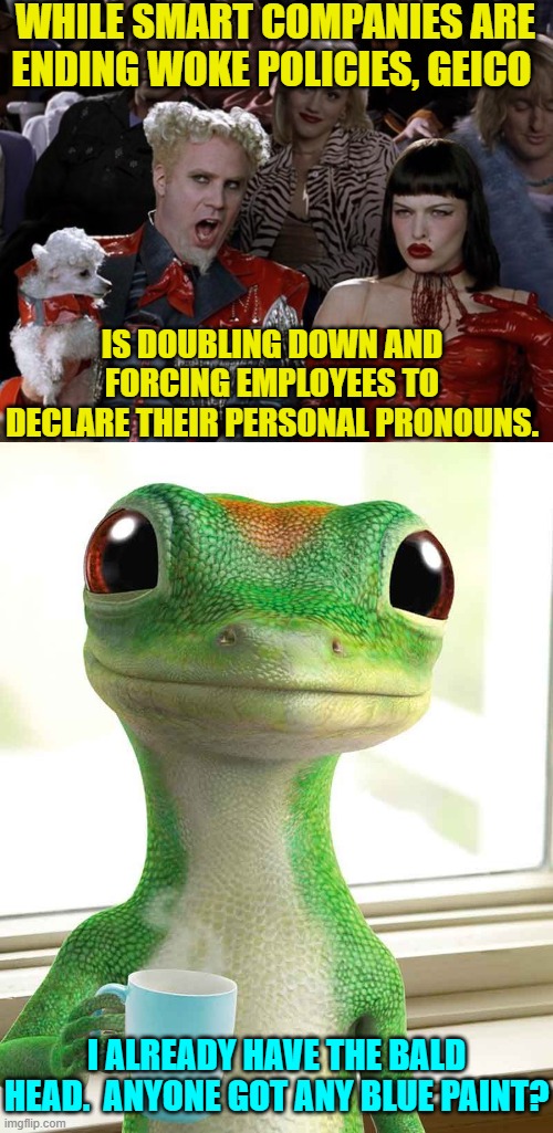 What could doubling down hurt, eh? | WHILE SMART COMPANIES ARE ENDING WOKE POLICIES, GEICO; IS DOUBLING DOWN AND FORCING EMPLOYEES TO DECLARE THEIR PERSONAL PRONOUNS. I ALREADY HAVE THE BALD HEAD.  ANYONE GOT ANY BLUE PAINT? | image tagged in yep | made w/ Imgflip meme maker