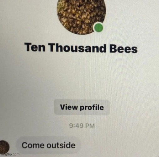 bees are friendly usually so id just give them free flowers | made w/ Imgflip meme maker