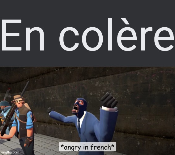 Translate it | image tagged in angry in french | made w/ Imgflip meme maker