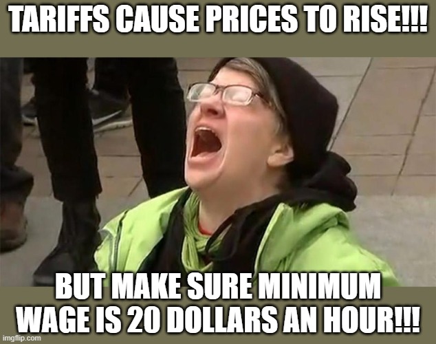 guess the left missed that one in thier oinking. | TARIFFS CAUSE PRICES TO RISE!!! BUT MAKE SURE MINIMUM WAGE IS 20 DOLLARS AN HOUR!!! | image tagged in crying liberal,tariffs,minimum wage,political humor,truth,funny memes | made w/ Imgflip meme maker