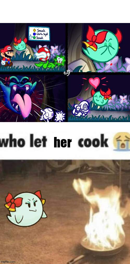 Let her cook now! Let her cook! I SAID LET HER COOK! | her | image tagged in who let bro cook,paper mario | made w/ Imgflip meme maker