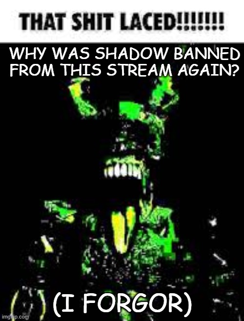 That shit laced | WHY WAS SHADOW BANNED FROM THIS STREAM AGAIN? (I FORGOR) | image tagged in that shit laced | made w/ Imgflip meme maker