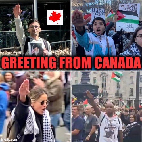 GREETING FROM CANADA | image tagged in canada,protest,palestine,anti-semitism,nazis | made w/ Imgflip meme maker