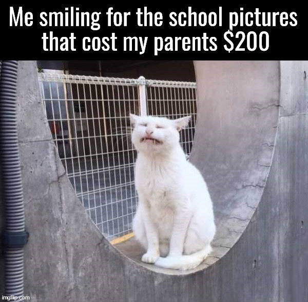 Smile for the camera | Me smiling for the school pictures 
that cost my parents $200 | image tagged in school | made w/ Imgflip meme maker