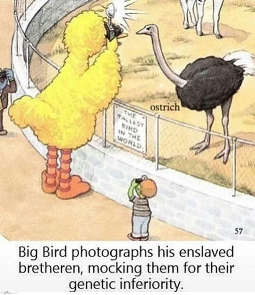 Big Bird | image tagged in comics/cartoons | made w/ Imgflip meme maker