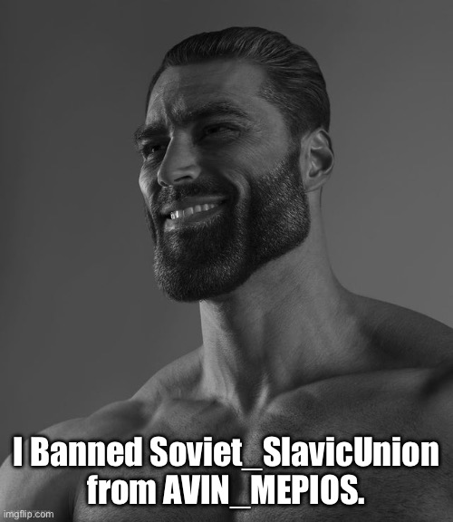 Giga Chad | I Banned Soviet_SlavicUnion from AVIN_MEPIOS. | image tagged in giga chad,mepios | made w/ Imgflip meme maker