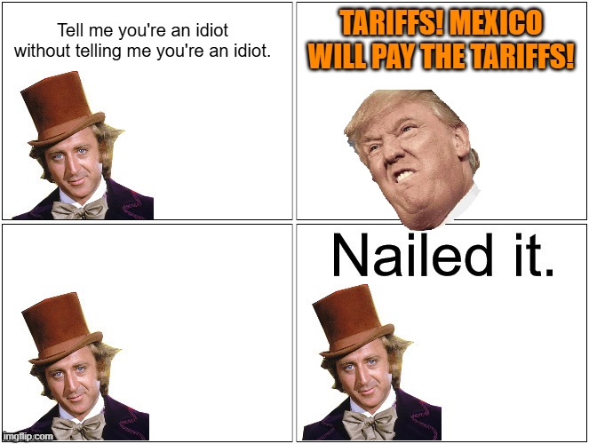 Nailed It Wonka | Tell me you're an idiot without telling me you're an idiot. TARIFFS! MEXICO WILL PAY THE TARIFFS! | image tagged in nailed it wonka | made w/ Imgflip meme maker