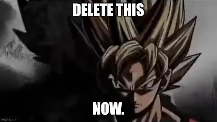 Goku Staring | DELETE THIS NOW. | image tagged in goku staring | made w/ Imgflip meme maker