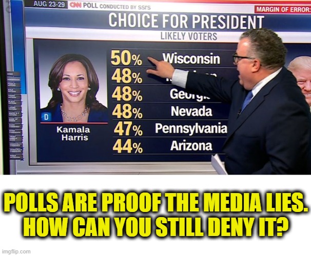 Media lies | POLLS ARE PROOF THE MEDIA LIES.
HOW CAN YOU STILL DENY IT? | image tagged in mainstream media | made w/ Imgflip meme maker