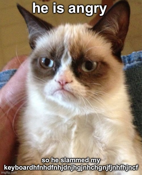 I’m going to get views | he is angry; so he slammed my keyboardhfnhdfnhjdnjhgjnhchgnjfjnhfhjncf | image tagged in memes,grumpy cat | made w/ Imgflip meme maker