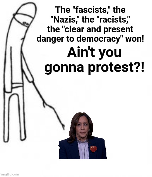 It's like they knew it was all deranged lies | The "fascists," the "Nazis," the "racists," the "clear and present danger to democracy" won! Ain't you gonna protest?! | image tagged in poke with stick,memes,kamala harris,democrats,protest,resistance | made w/ Imgflip meme maker