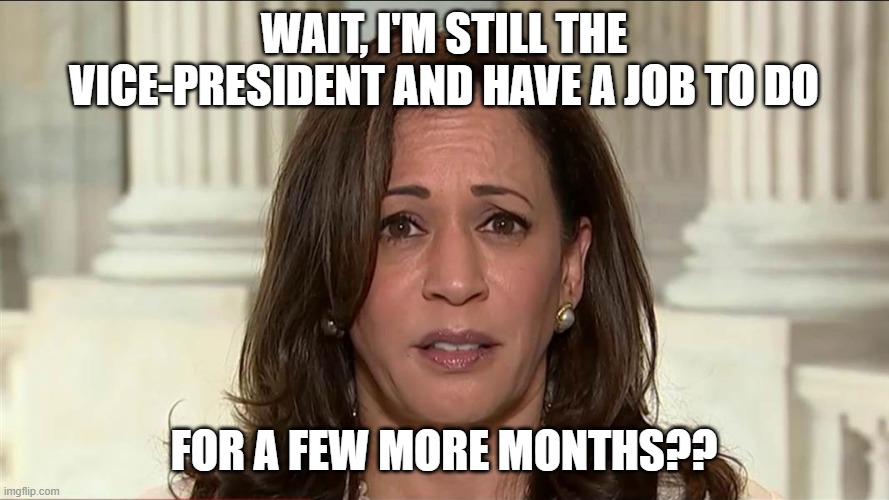 kamala harris | WAIT, I'M STILL THE VICE-PRESIDENT AND HAVE A JOB TO DO FOR A FEW MORE MONTHS?? | image tagged in kamala harris | made w/ Imgflip meme maker