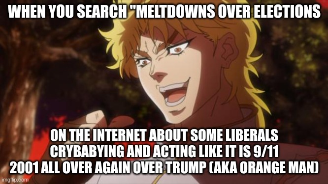 POV election 2024 (THIS IS NOT HATE SPEECH) | WHEN YOU SEARCH "MELTDOWNS OVER ELECTIONS; ON THE INTERNET ABOUT SOME LIBERALS CRYBABYING AND ACTING LIKE IT IS 9/11 2001 ALL OVER AGAIN OVER TRUMP (AKA ORANGE MAN) | image tagged in but it was me dio | made w/ Imgflip meme maker