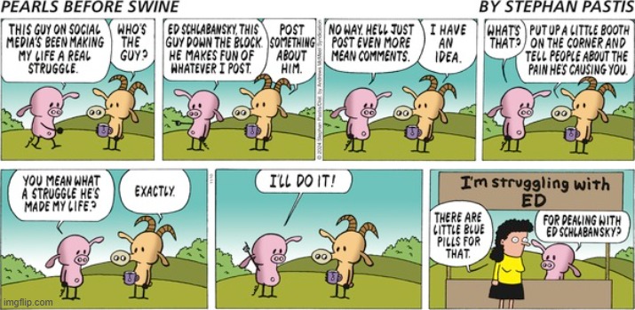 Pearls Before Swine | image tagged in comics | made w/ Imgflip meme maker