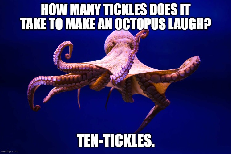 Daily Bad Dad Joke November 26,2024 | HOW MANY TICKLES DOES IT TAKE TO MAKE AN OCTOPUS LAUGH? TEN-TICKLES. | image tagged in mr octopus | made w/ Imgflip meme maker