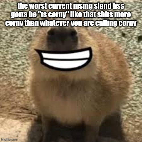 goofy ass capybara | the worst current msmg sland hss gotta be "ts corny" like that shits more corny than whatever you are calling corny | image tagged in goofy ass capybara | made w/ Imgflip meme maker