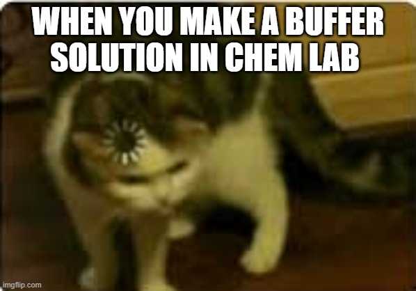 Buffers am I right? | WHEN YOU MAKE A BUFFER SOLUTION IN CHEM LAB | image tagged in buffering cat | made w/ Imgflip meme maker