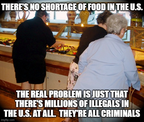 fat people at buffet | THERE'S NO SHORTAGE OF FOOD IN THE U.S. THE REAL PROBLEM IS JUST THAT THERE'S MILLIONS OF ILLEGALS IN THE U.S. AT ALL.  THEY'RE ALL CRIMINAL | image tagged in fat people at buffet | made w/ Imgflip meme maker