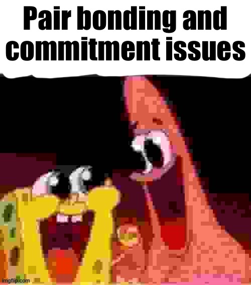 your execution is in three days | Pair bonding and
commitment issues | image tagged in your execution is in three days | made w/ Imgflip meme maker