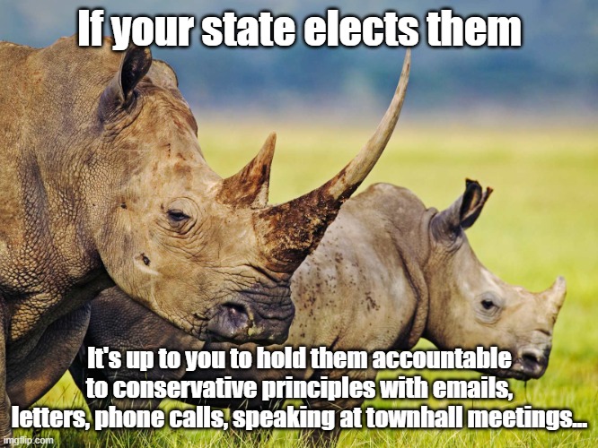 RINOs! What are they good for? Absolutely nothing!  Say it again! | If your state elects them; It's up to you to hold them accountable to conservative principles with emails, letters, phone calls, speaking at townhall meetings... | image tagged in rino | made w/ Imgflip meme maker