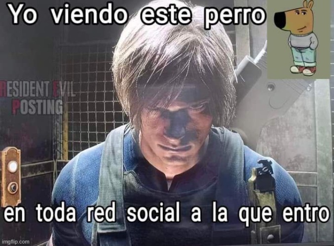 9bpi6n.jpg