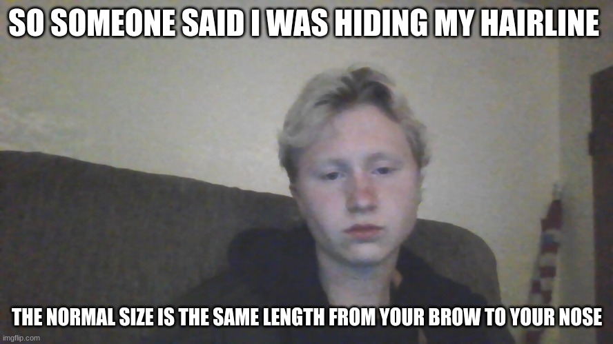 I think its pretty normal | SO SOMEONE SAID I WAS HIDING MY HAIRLINE; THE NORMAL SIZE IS THE SAME LENGTH FROM YOUR BROW TO YOUR NOSE | made w/ Imgflip meme maker