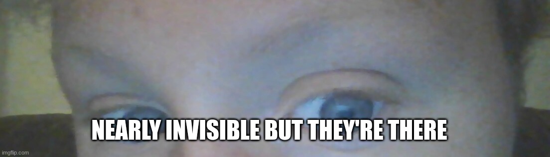 NEARLY INVISIBLE BUT THEY'RE THERE | made w/ Imgflip meme maker