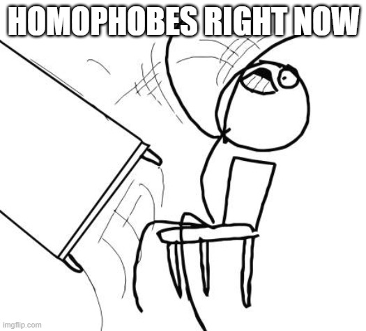 Table Flip Guy Meme | HOMOPHOBES RIGHT NOW | image tagged in memes,table flip guy | made w/ Imgflip meme maker