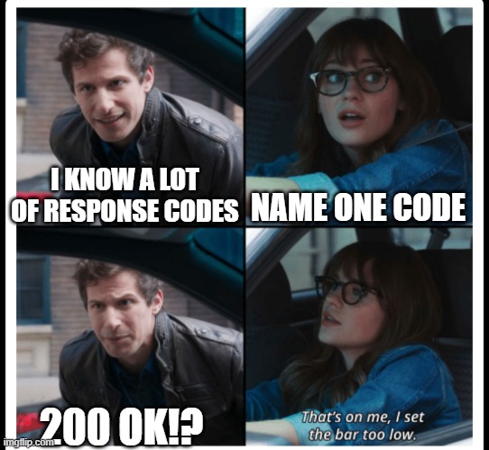 Brooklyn 99 Set the bar too low | NAME ONE CODE; I KNOW A LOT OF RESPONSE CODES; 200 OK!? | image tagged in brooklyn 99 set the bar too low | made w/ Imgflip meme maker