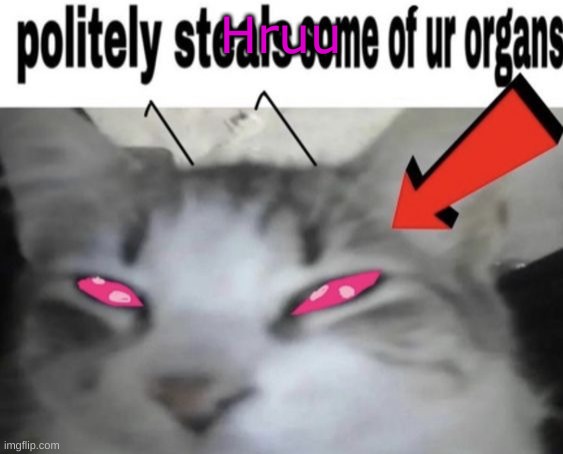 *politely steals some of ur organs* | Hruu | image tagged in politely steals some of ur organs | made w/ Imgflip meme maker