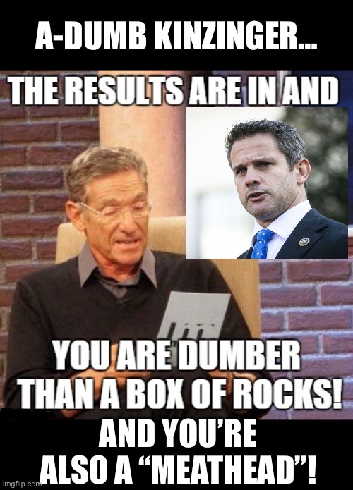 A-DUMB KINZINGER…; AND YOU’RE ALSO A “MEATHEAD”! | made w/ Imgflip meme maker