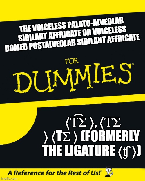 For Dummies | THE VOICELESS PALATO-ALVEOLAR SIBILANT AFFRICATE OR VOICELESS DOMED POSTALVEOLAR SIBILANT AFFRICATE; ⟨T͡Ʃ ⟩, ⟨T͜Ʃ ⟩ ⟨TƩ ⟩ (FORMERLY THE LIGATURE ⟨ʧ ⟩) | image tagged in for dummies | made w/ Imgflip meme maker